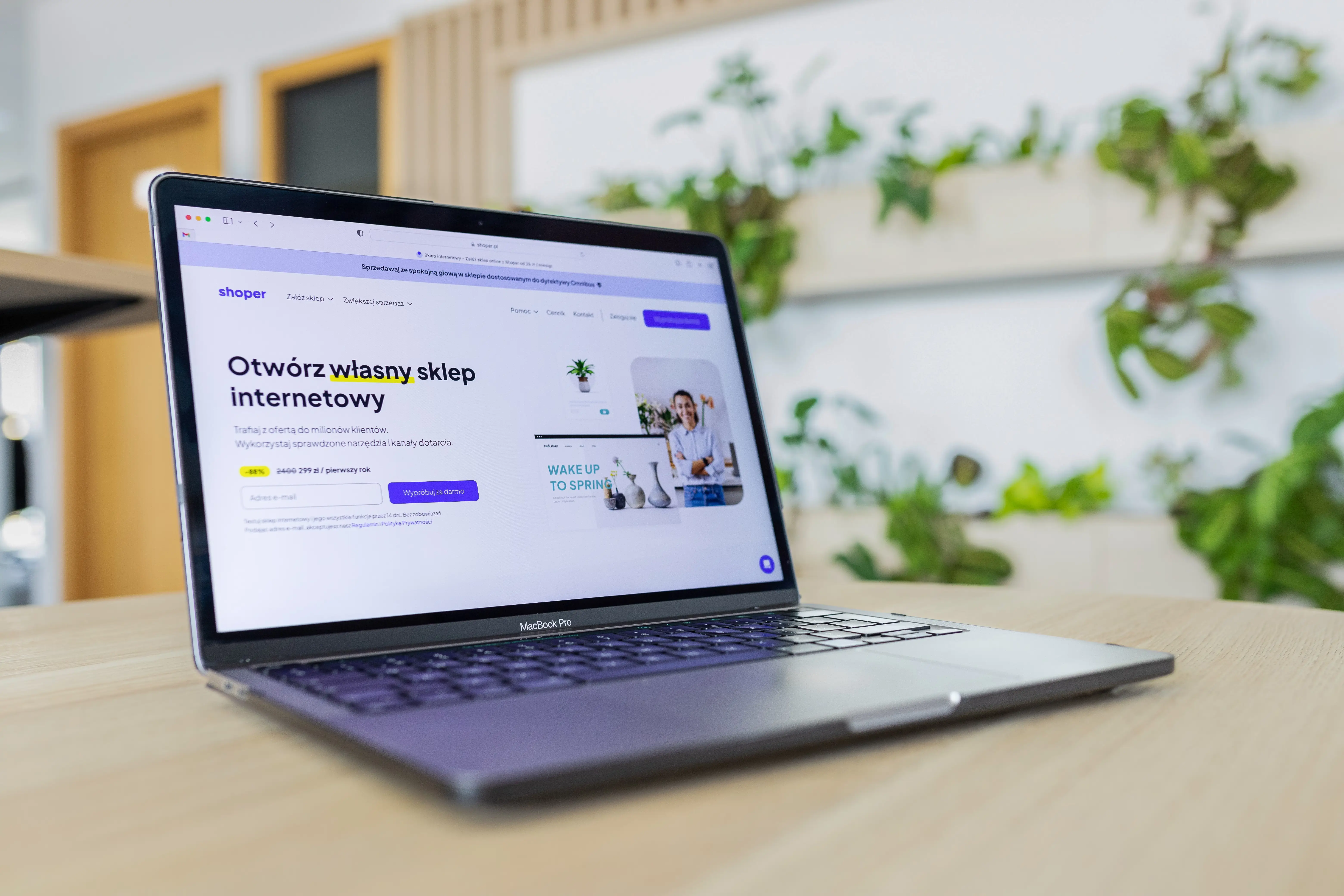 Custom Web Development